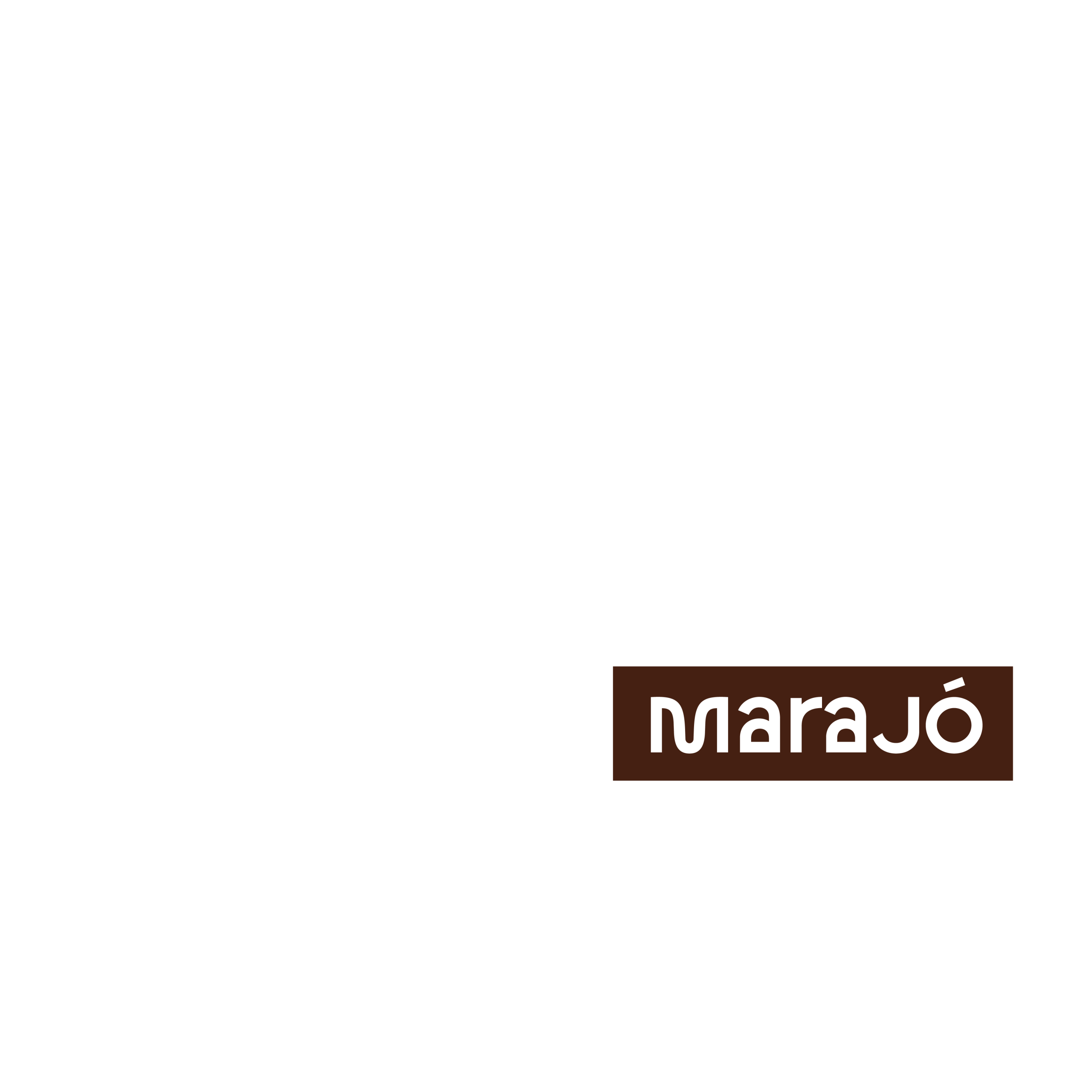 Sua ideia pode transformar o futuro da Amazônia!