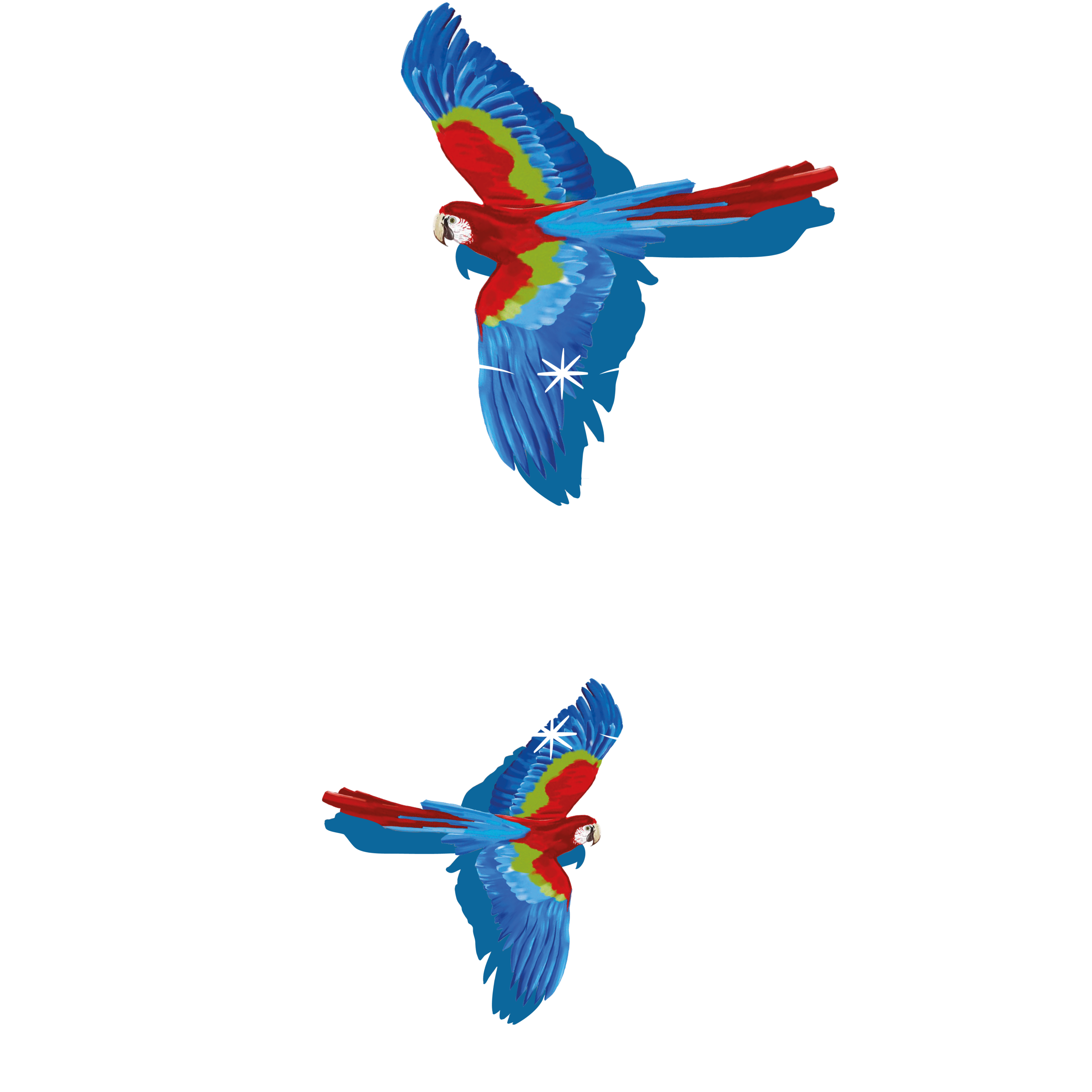 Seja protagonista desta mudança!