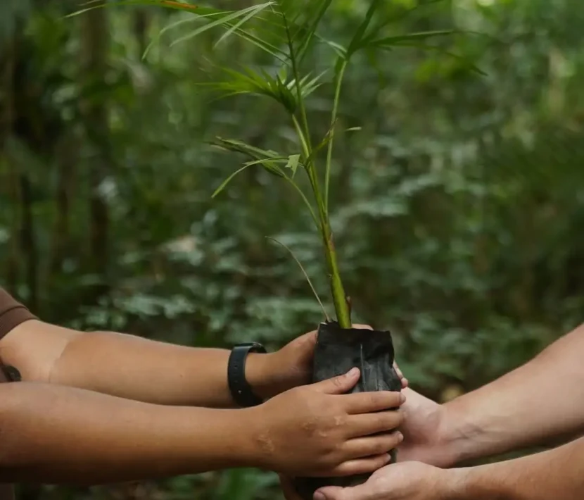 Economia de impacto: como empresas podem impulsionar o desenvolvimento social sustentável