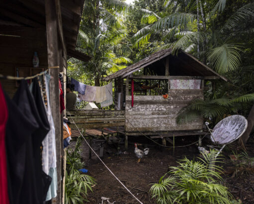 Parcerias para fortalecer políticas públicas na amazônia são possíveis e urgentes